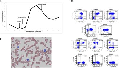 Case Report: Unique patterns of lymphocyte recovery post-hematopoietic stem cell transplant associated with hyperbaric oxygen therapy: A case series
